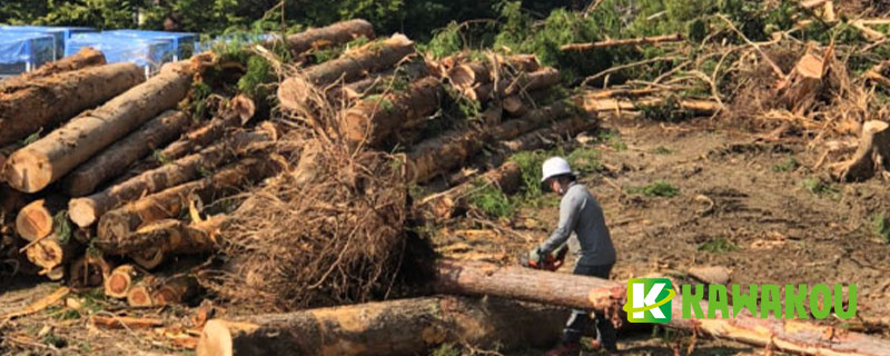 株式会社KAWAKOUの伐採・造成・型枠工事事業